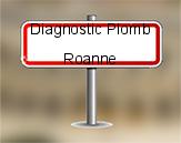 Diagnostic Plomb avant démolition sur Roanne